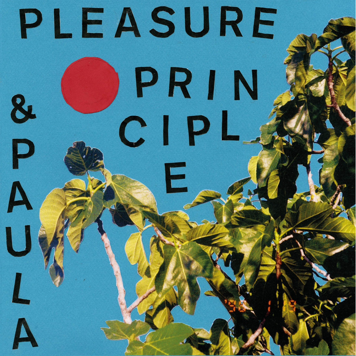 Pleasure Principle & Paula (Megattera Records)