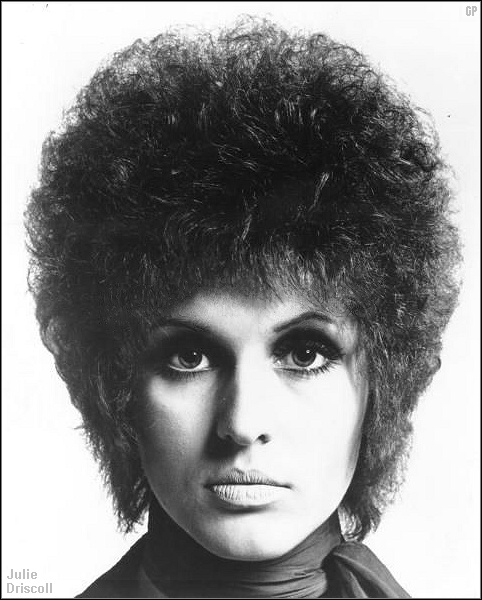 julie driscoll outline